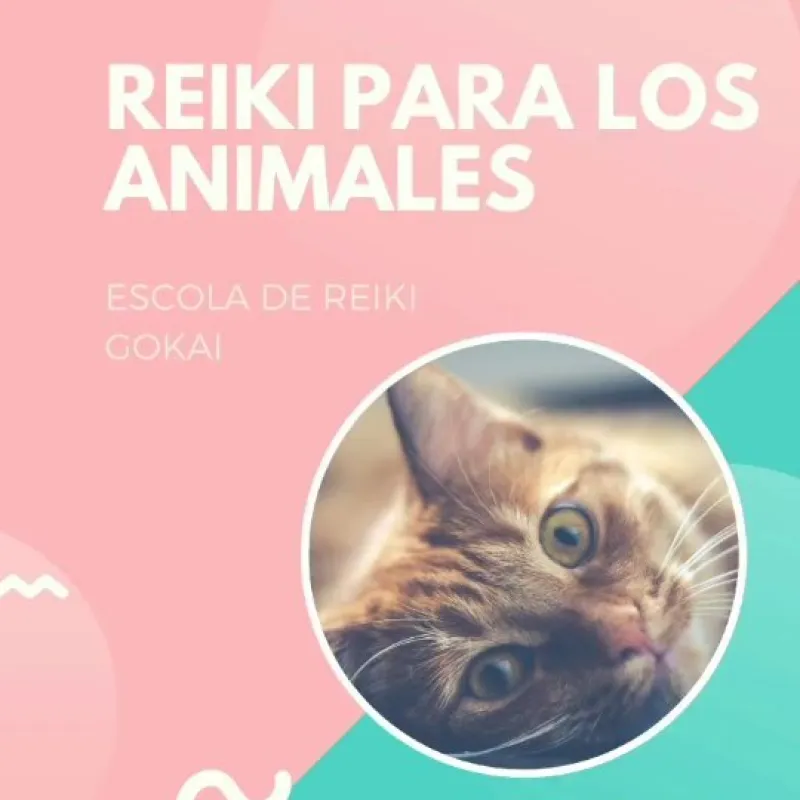 Aqui te explico todo sobre darle reiki a tu mascota, como, cuando y los benefici 